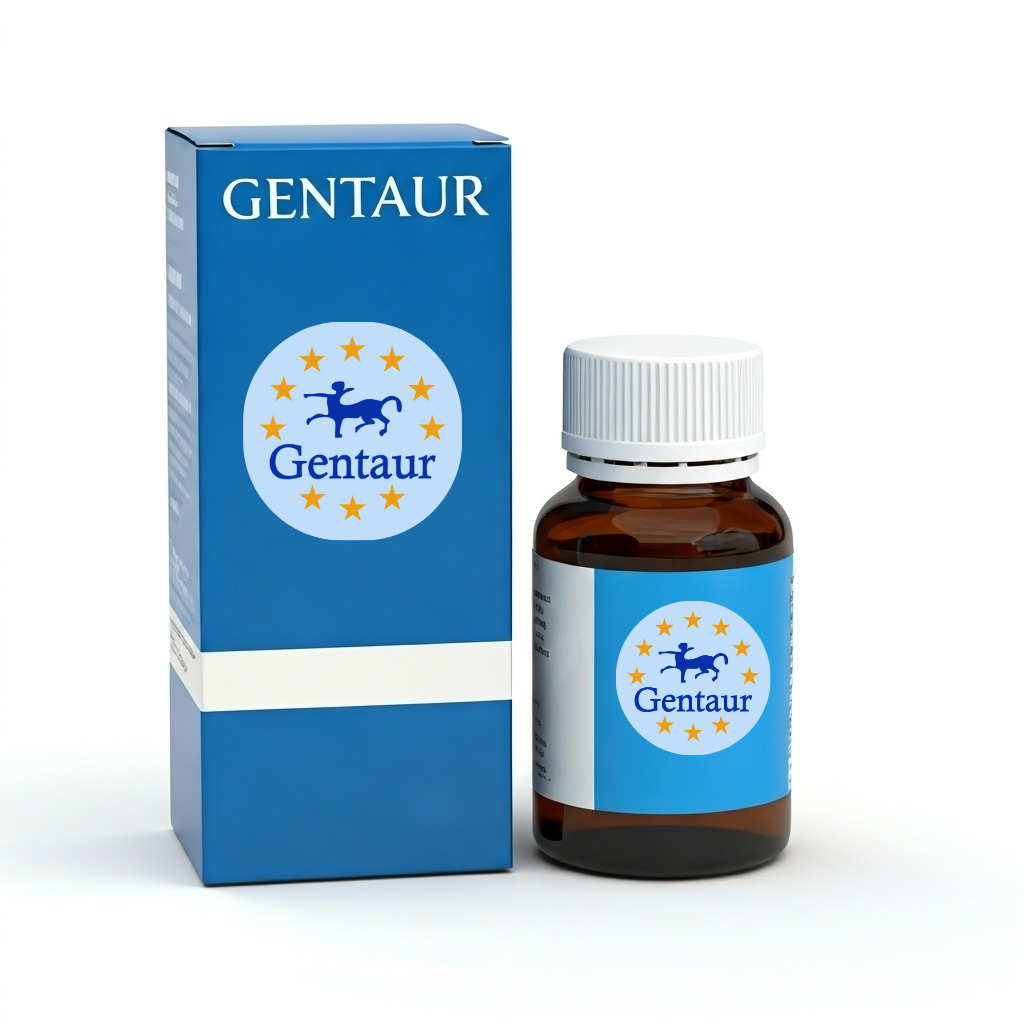  DNA Library Prep Kit V2  (5 NG)