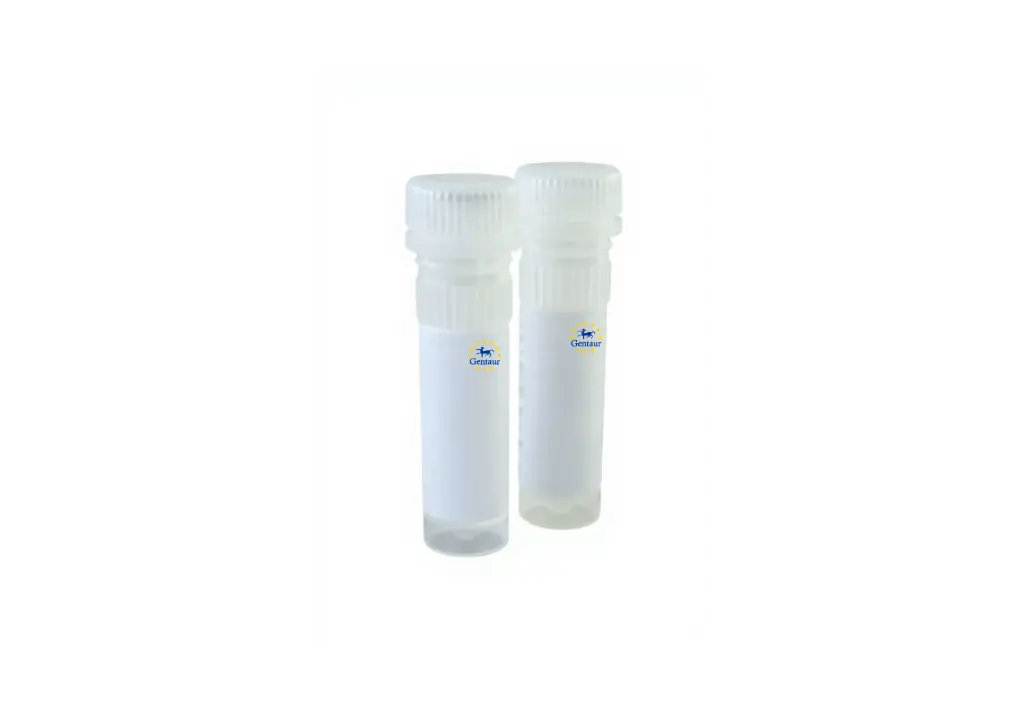  40mm dntp mix ready to use 10mm 5 mol each 0 5ml