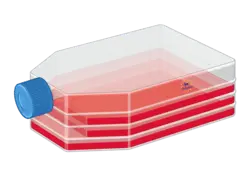 [FM-P60106-Plus] Epithelial Cell Medium 